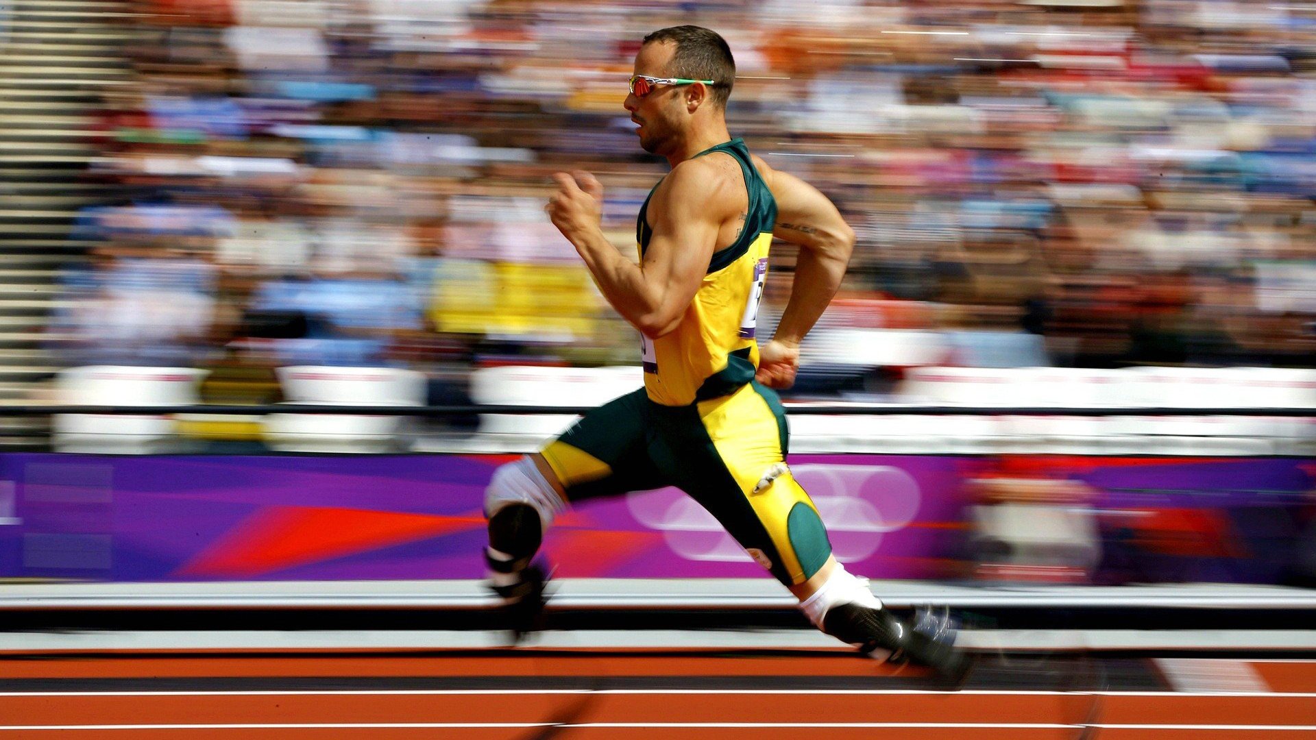 _海洋牧场运动体验:释放海洋能量_,海洋牧场优缺点